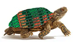 Are Great Traders Made or Born? Way of the Turtle