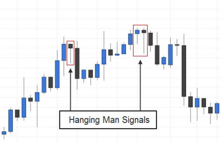 Multiple Price Action Examples