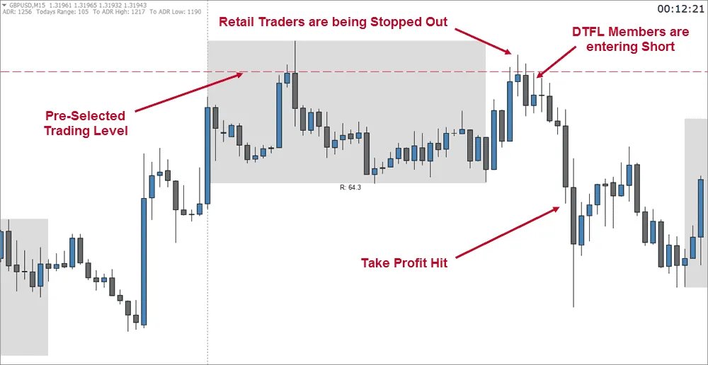 Forexlive reviews tallinex vs traders way forex