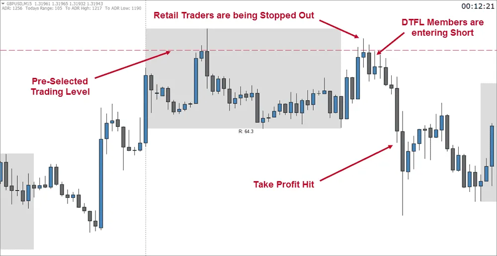 DTFL Trading System Review